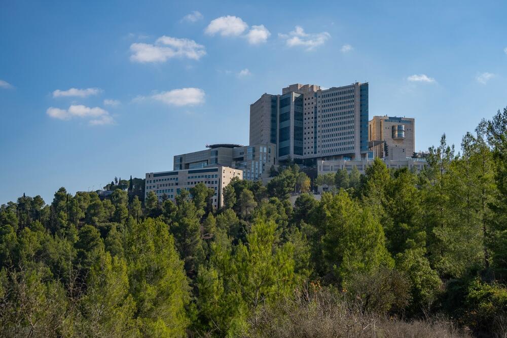 Hadassah ein-Karem (photo: shutterstock) בית החולים הדסה עין כרם