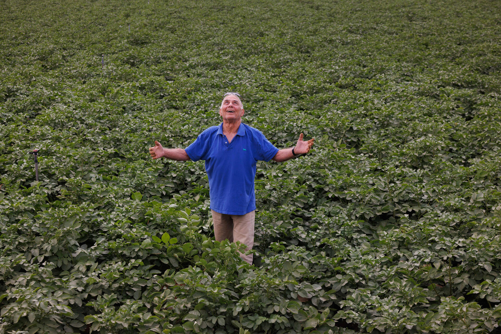 גדי מוזס חזר מהשבי הביתה, לשדות ניר עוז שהוא כל כך אוהב 