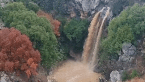 תיעוד מדהים ממפל סער, ואיפה ירדו יותר מ-200 מ"מ?