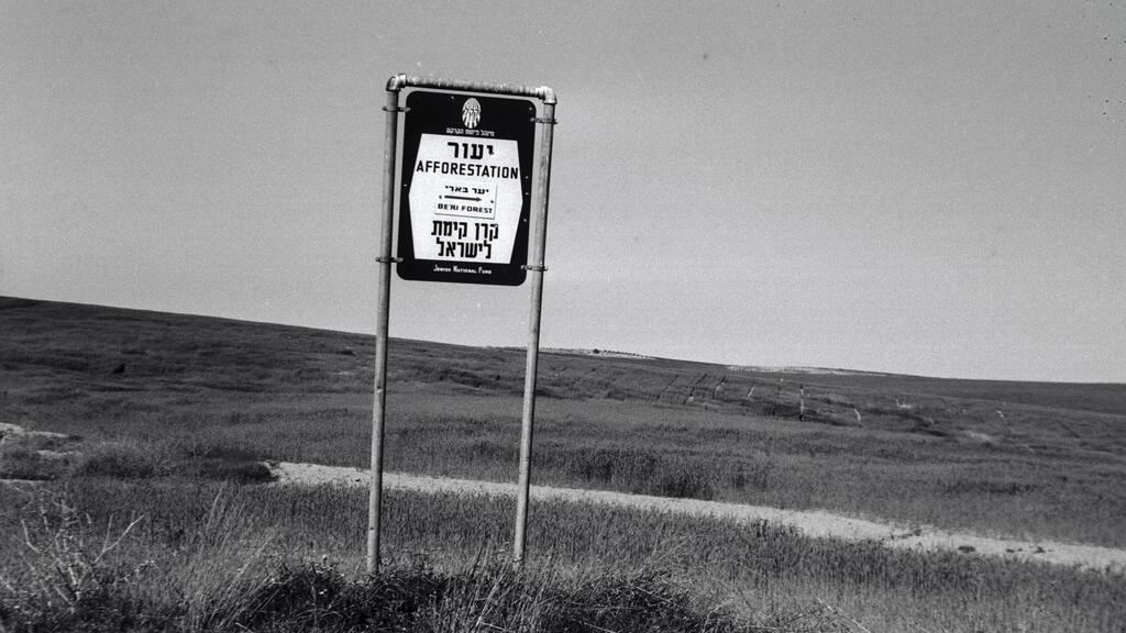 Be’eri Forest, 1966 (Photo: Yehuda Hanegbi/KKL-JNF Photo Archive) Tree planting in Be’eri, 1966