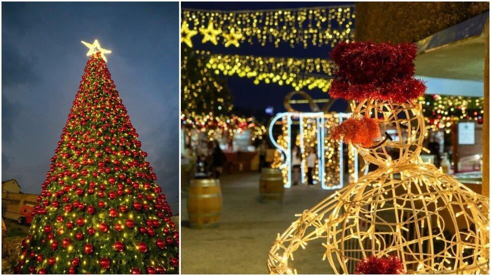 Самая высокая елка на Ближнем Востоке - высотой 31 м в Нацерете (Фото: Evhalio) Самая высокая елка на Ближнем Востоке - высотой 31 м в Нацерете