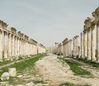 Apamea