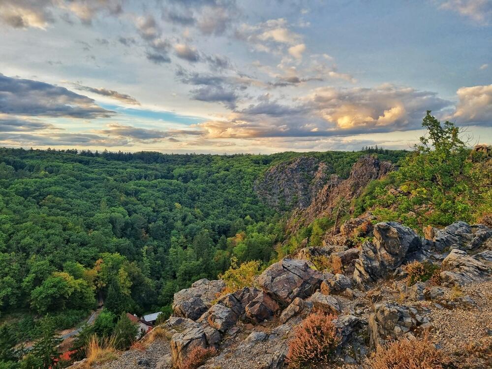 Divoká Šárka (Photo: DanyG / shutterstock) שמורת טבע בעיר. Divoká Šárka