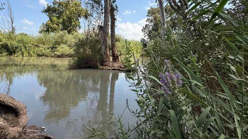 מערכת לזיהוי זיהום נחל הירקון