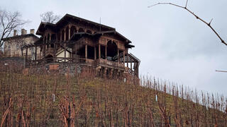 בית היין, בלב הכרמים של פארק גרבובקה