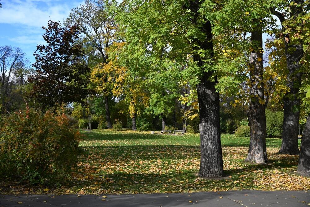 Letná Park (Photo: Jan Hospodka / shutterstock) פארק לטנה
