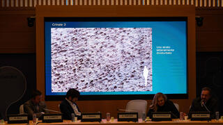 Paleontologist at the Natural History Museum of Milan Cristiano Dal Sasso, right, comments on photos during press conference to present the discovery of thousands of dinosaur tracks discovered in Italy's Stelvio National Park near the areas that will host the Milano-Cortina 2026 Olympic Games, in Milan on December 16, 2025.