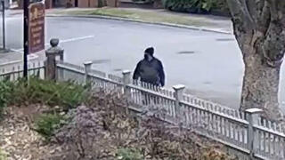 חשוד ב ירי ב אוניברסיטת בראון רוד איילנד ארה"ב