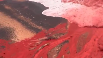 הים נצבע באדום. תופעת הטבע באי הורמוז