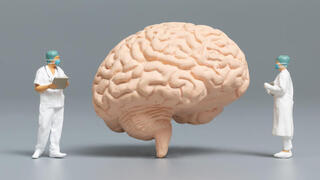 בריאות המוח