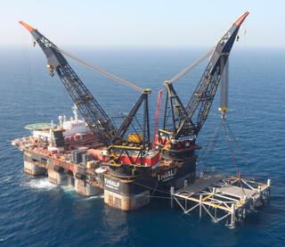 מאגר לוויתן