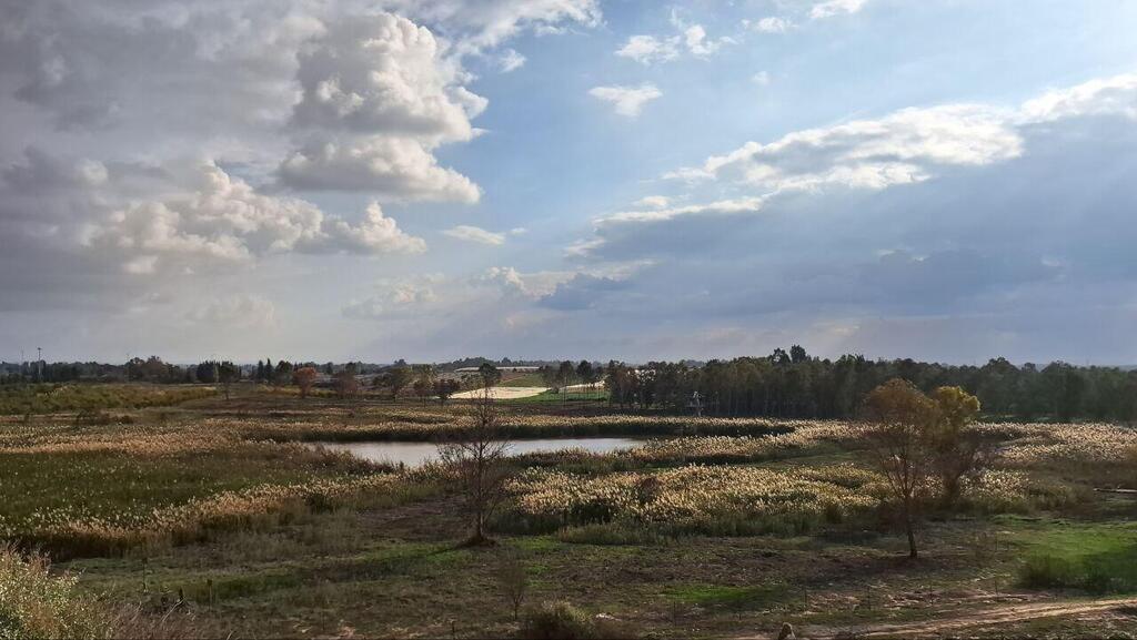 Заповедник Мааянот-Гибтон 