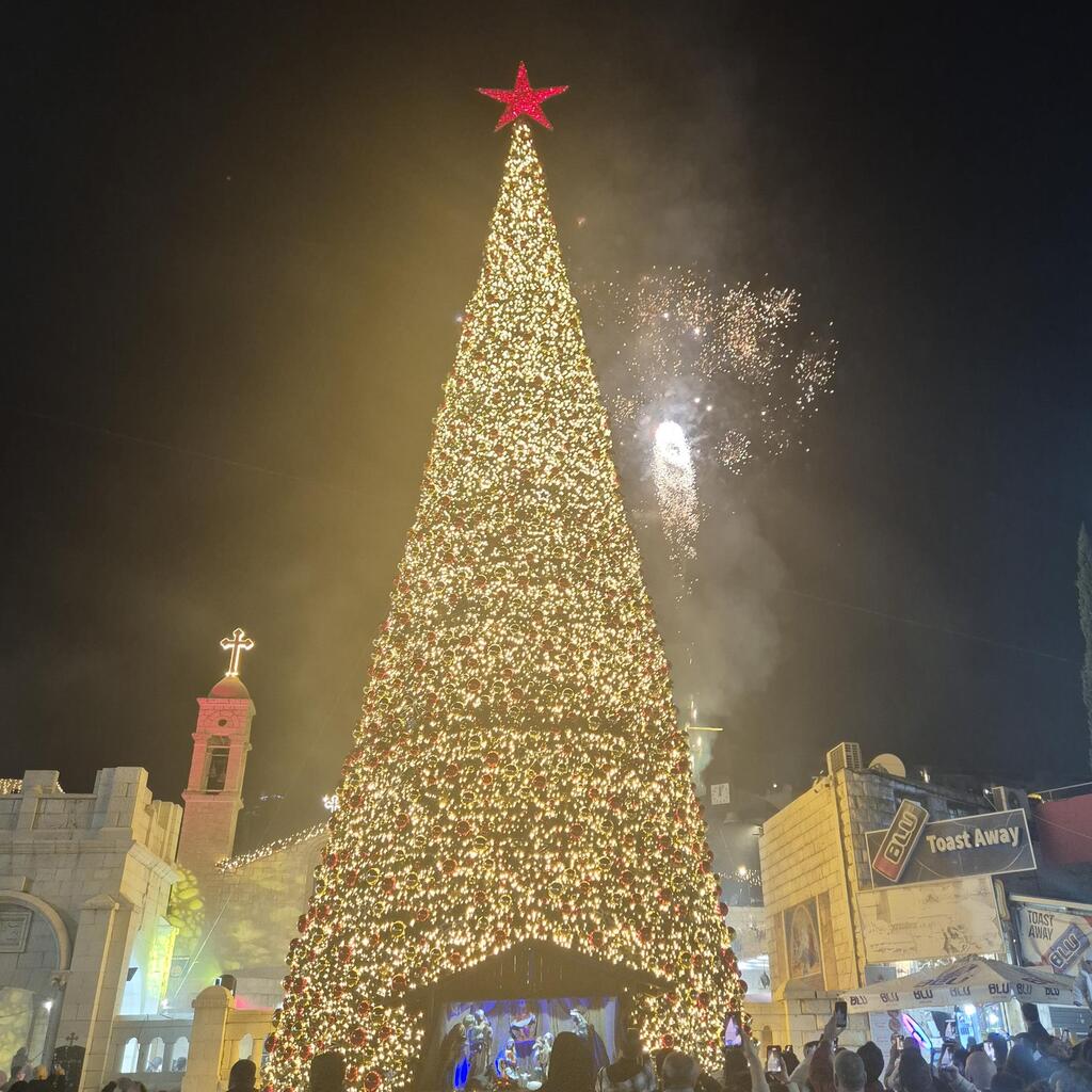 עץ חג המלד הגדול במזרח התיכון