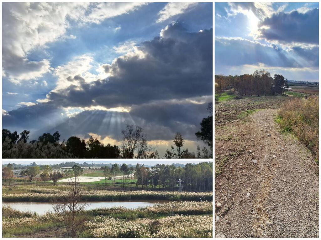 Волшебный уголок природы в центре страны. И спуск с холма 