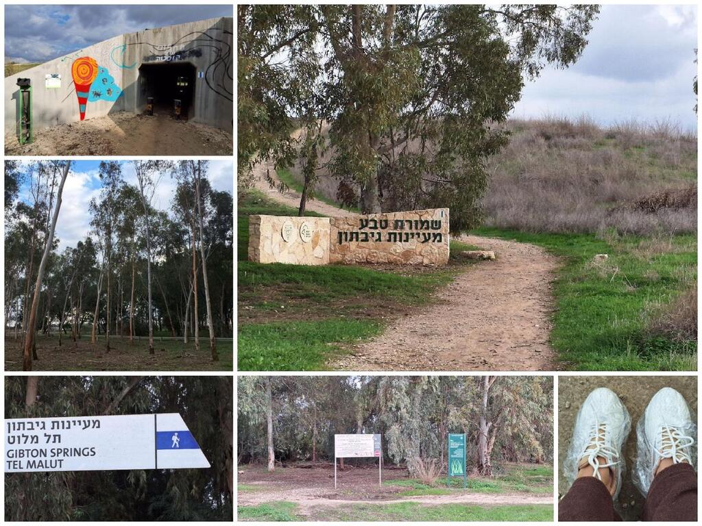 Тоннельный вход в заповедник, подъем на холм Малут, роща, щитки в заповеднике и простой способ не запачкать обувь 