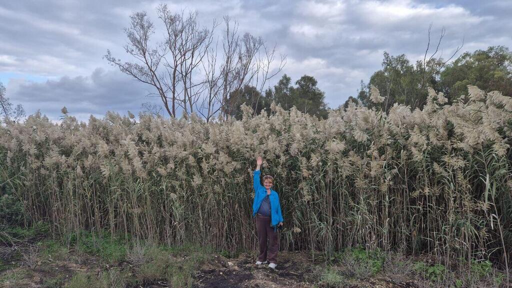 Место, где можно помериться ростом с тростником 