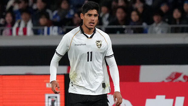 פרננדו נאווה