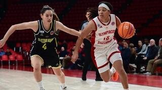 עדן רוטברג מול נושיה וולפולק