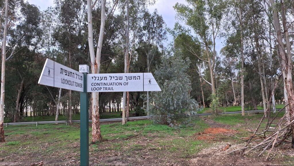 Заповедник Мааянот-Гибтон 