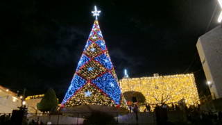 פסוטה, עץ חג המולד. אירופה בגליל המערבי