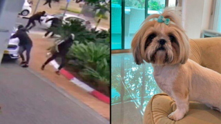 עופר נדן בן 52 מנחלת יהודה בראשון לציון, שעבר שוד וחטיפת שני הכלבים שלו  באיומי סכין וריסוס גז מדמיע לעייניו