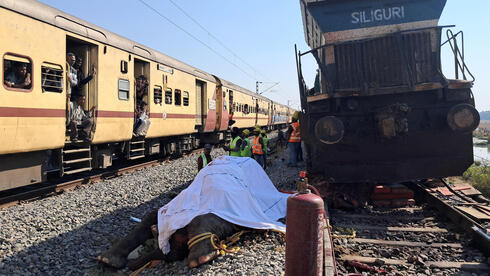 הפגר של אחד הפילים שנהרג ליד הרכבת