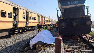 הפגר של אחד הפילים שנהרג ליד הרכבת