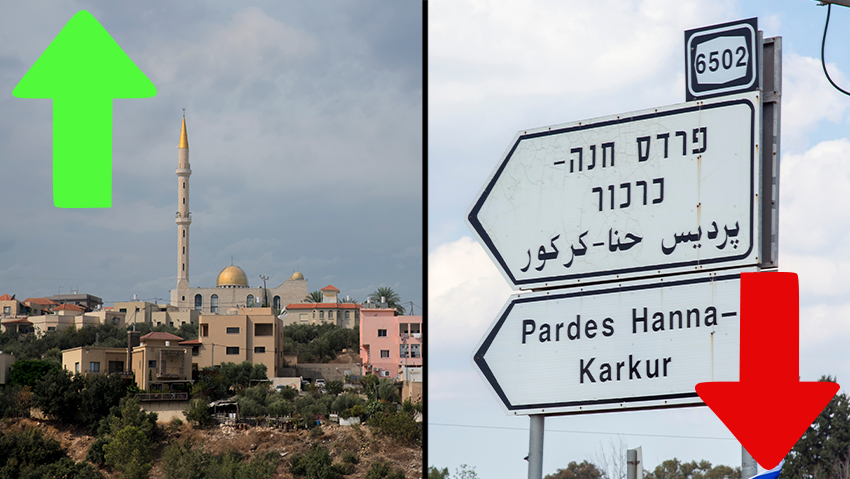 הצמרת והתחתית בחיסוני ילדים: אום אל-פחם השאירה אבק לפרדס חנה | כל הנתונים