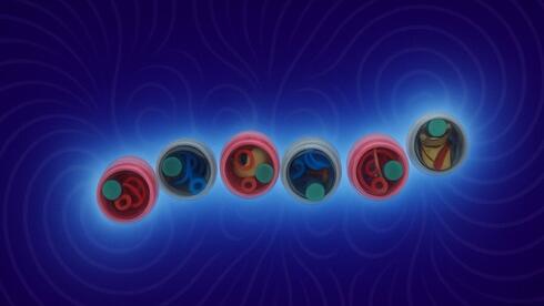 עושים סדר במחקר