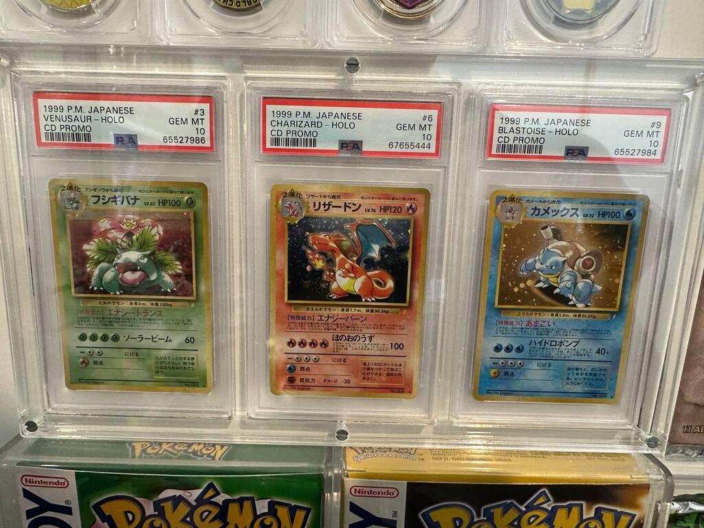 A close-up of three graded 1999 Japanese holographic Pokémon cards—Venusaur, Charizard and Blastoise—each graded GEM MT 10 by PSA 