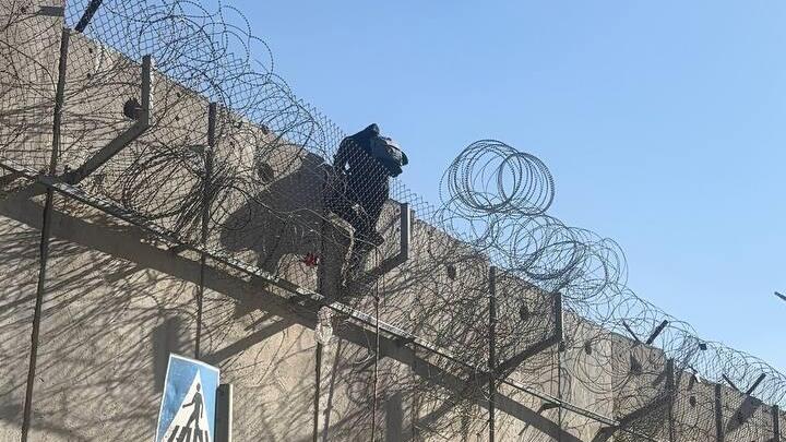 Нелегал перелезает через забор (Фото: Лирон Тамри) שב"חים נכנסים דרך פרצות בדאחייה