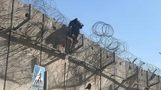 שב"חים נכנסים דרך פרצות בדאחייה