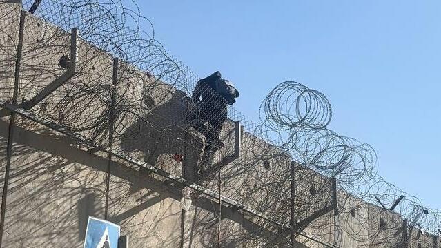 שב"חים נכנסים דרך פרצות בדאחייה