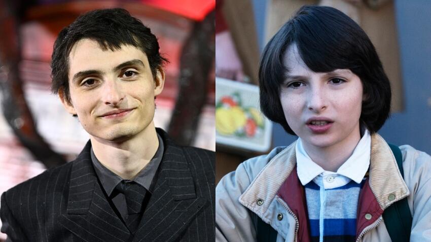 פין וולפהארד