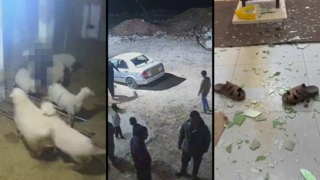 תיעוד האלימות וההתפרעויות ביו"ש