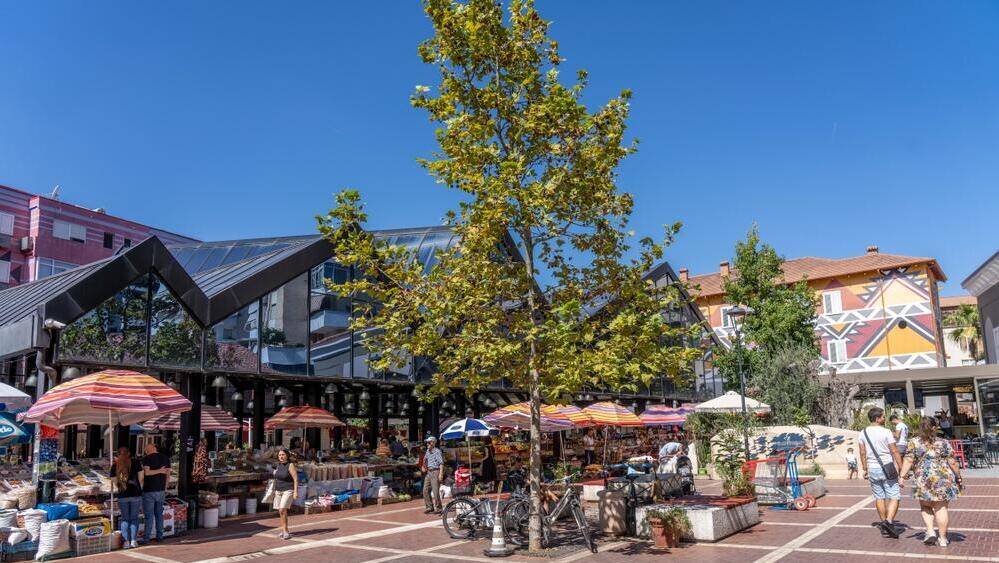 השוק המרכזי בטירנה