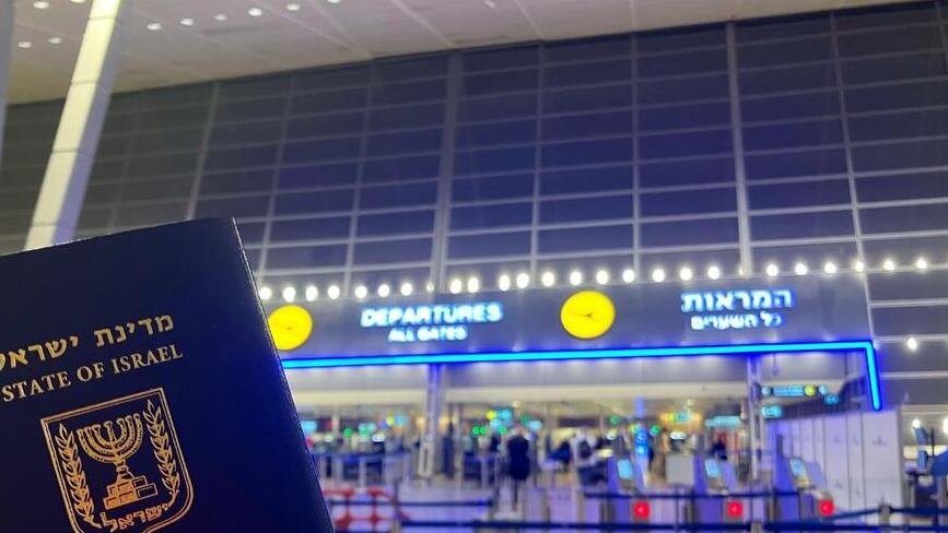 Фото: ShU studio, shutterstock