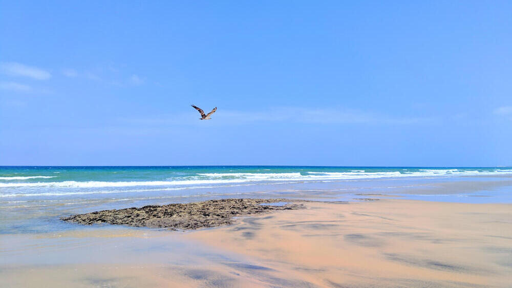 חוף בתולי ליד ברברה, סומלילנד