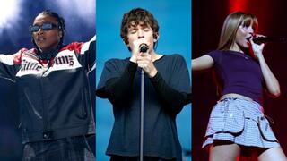 פינק פנתרס, טרנסטייל וליטל סימז