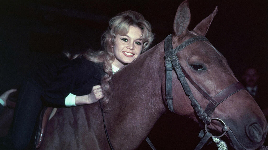 She was an activist for animal rights (Photo: AP) בריז'יט בארדו