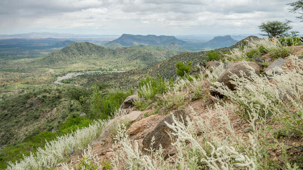 טבע בסומלילנד