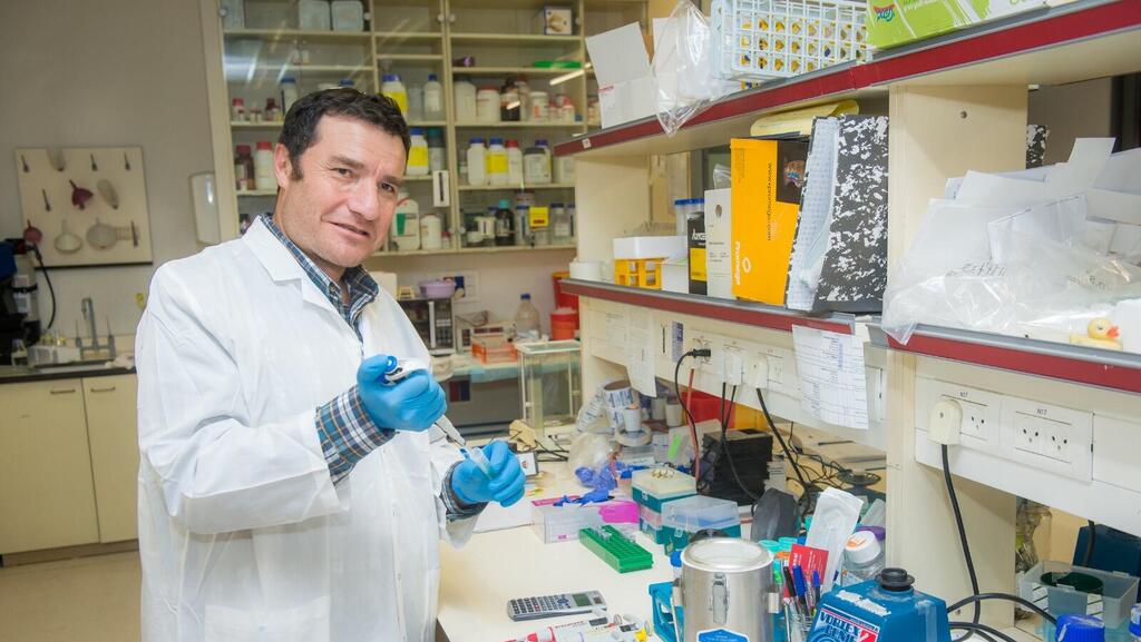 Prof. Haim Cohen (Photo: Bar-Ilan University) פרופ' חיים כהן, בר אילן