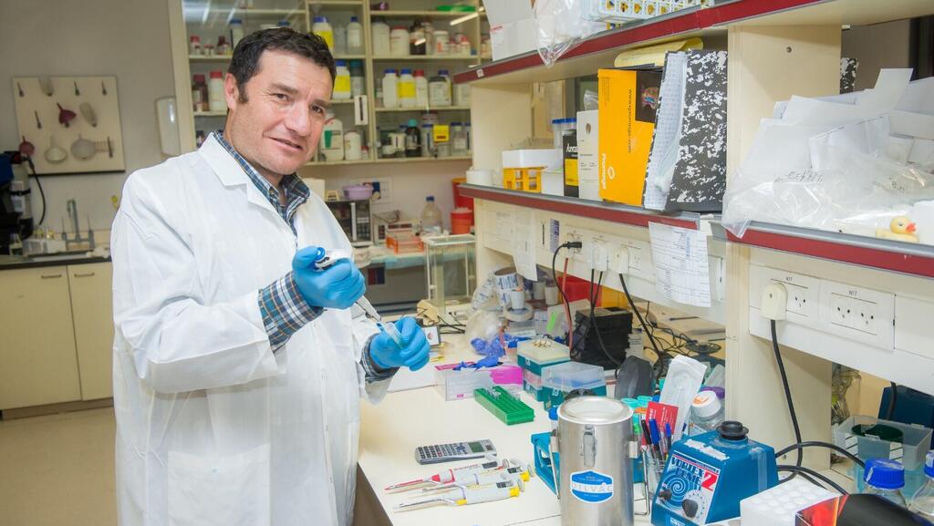 פרופ' חיים כהן, בר אילן