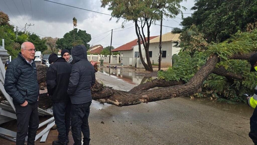 נפילת עץ במושב אחיעזר