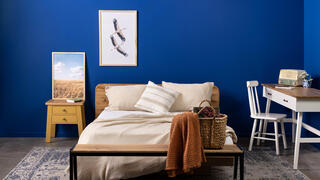 צבע השנה של נירלט ל-2026, צולם באולם התצוגה של AYUNA