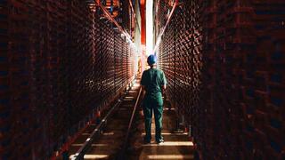 מפעל חרקים לייצור חלבון בצרפת של חברת Ÿnsect 