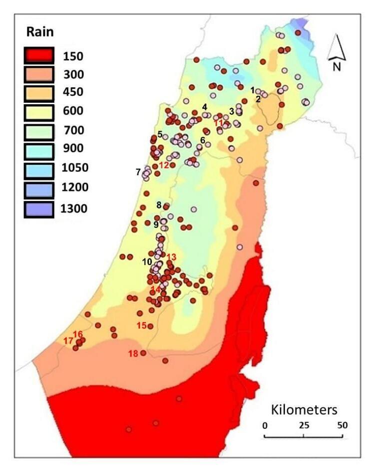 מפת הכלניות