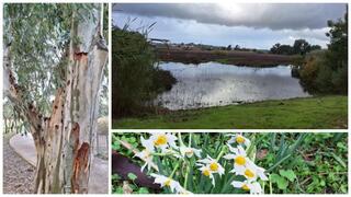 Экопарк в Герцлии 