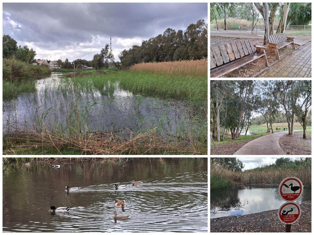 Экопарк в Герцлии 