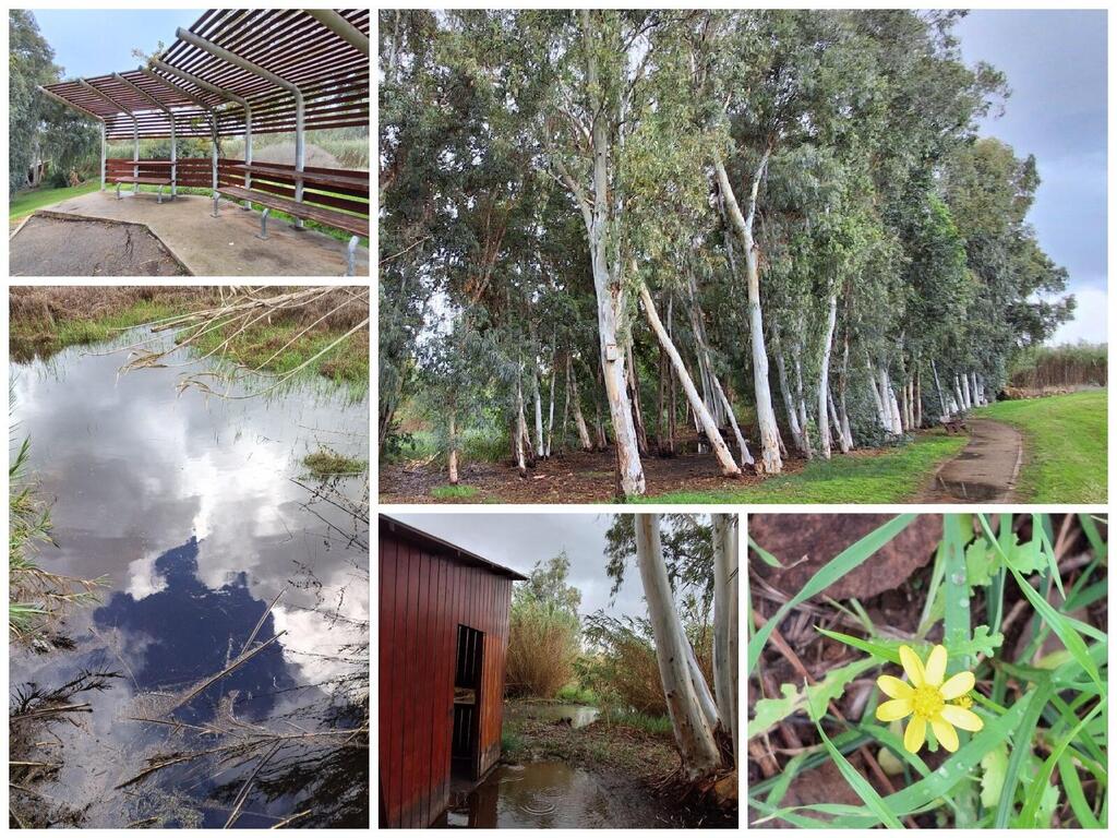 Экопарк в Герцлии 